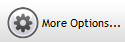 7. More Options button
