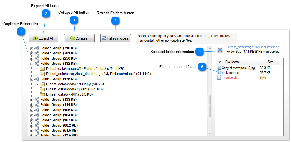 Duplicate Folders Tab (Pro)