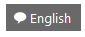 8. Language select button